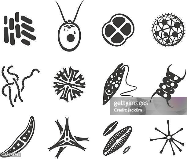 pond micro organisms - autotroph - micrasterias stock illustrations