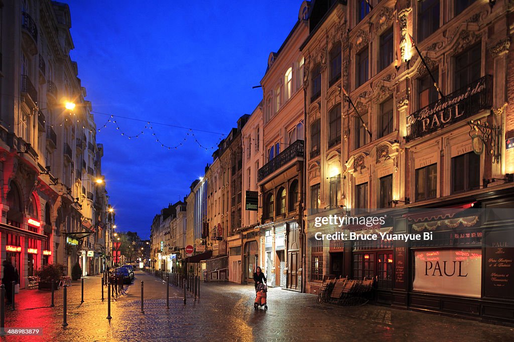 Historic center of Lille at night