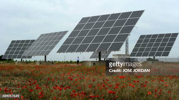 Solar panels are seen in a field of Mahora, near eastern Spanish city of Albacete on May 7, 2014. Spanish people who installed solar panels are...
