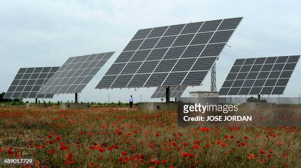 Solar panels are seen in a field of Mahora, near eastern Spanish city of Albacete on May 7, 2014. Spanish people who installed solar panels are...