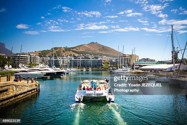 cape town harbour - cape town harbour stock pictures, royalty-free photos & images