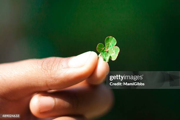 Cloverleaf 241 Partial Cloverleaf Stock Photos, High-Res Pictures, and Images ...