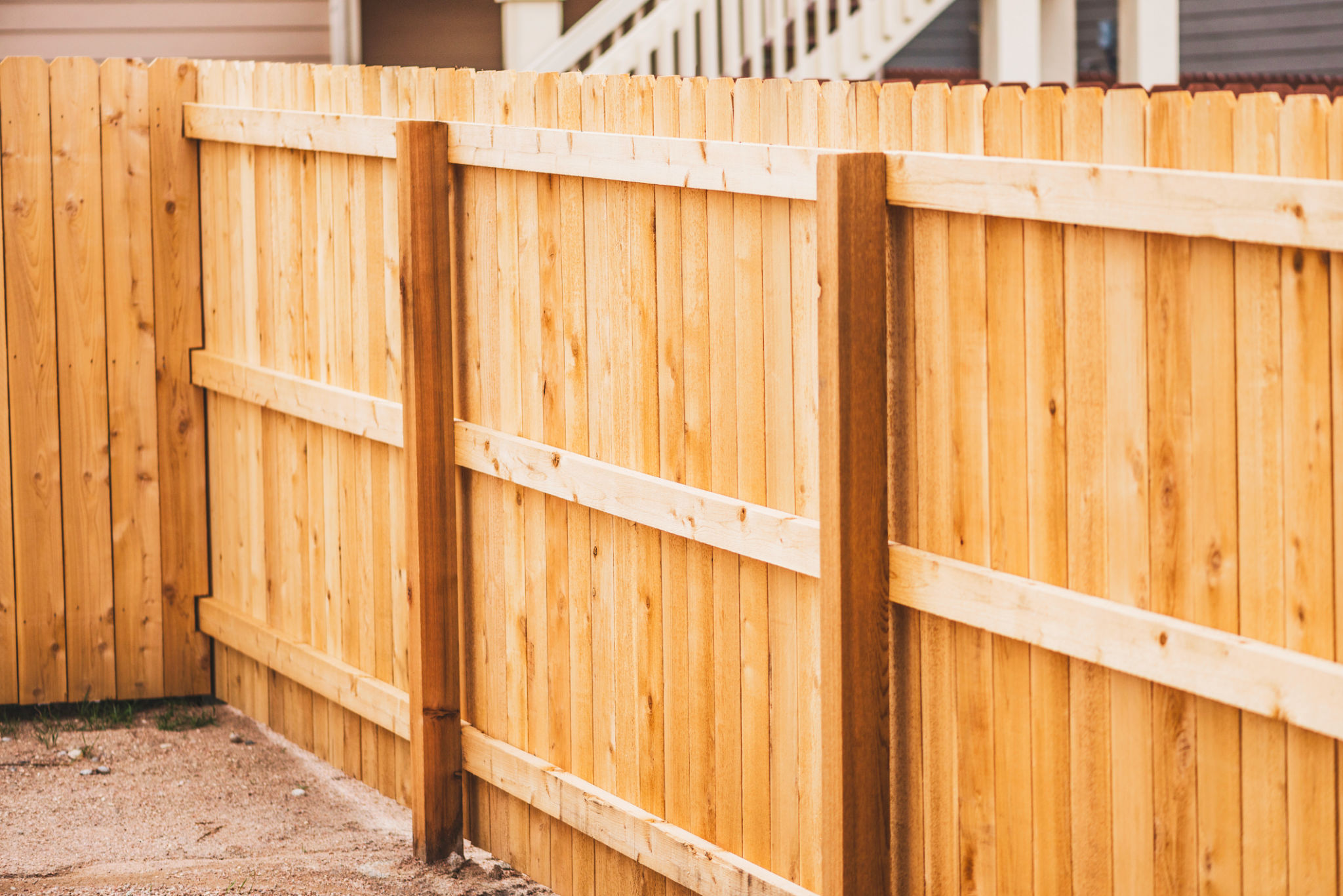 Newly installed fencing in back yard Newly installed fencing in back yard