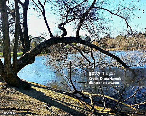 Arbor Day, Foto de stock