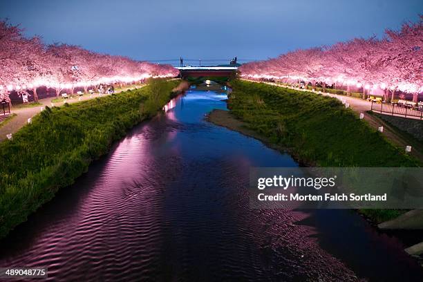 Jamari Rivers Jamari River Photos and Premium High Res Pictures - Getty Images