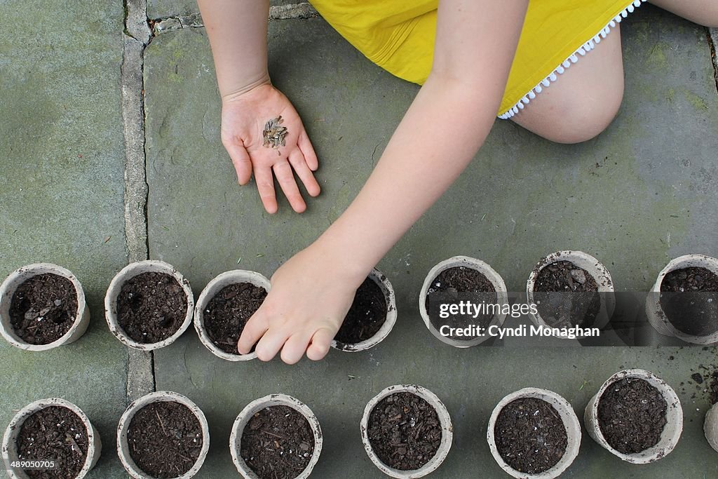 Earth Day Challenge