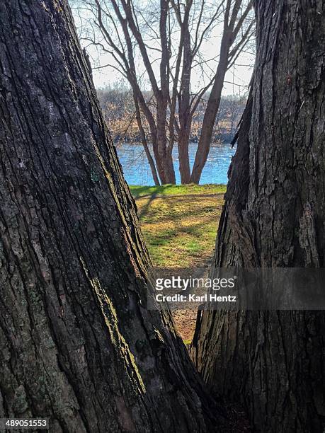 arbor day - merrimack river stock pictures, royalty-free photos & images