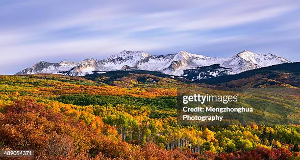 carpet of autumn - colorado mountains stock pictures, royalty-free photos & images