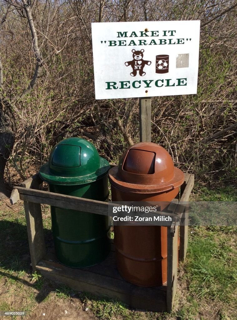 Earth Day Challenge