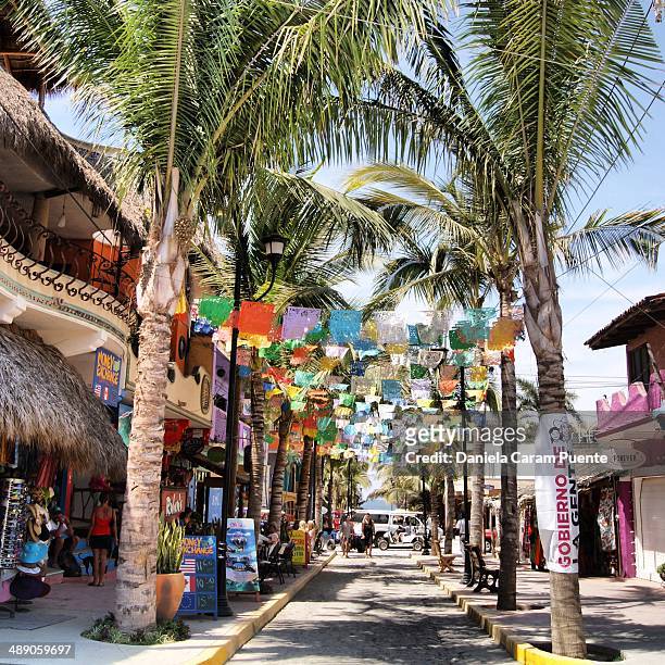 Colorful Sayulita PalmTrees main street