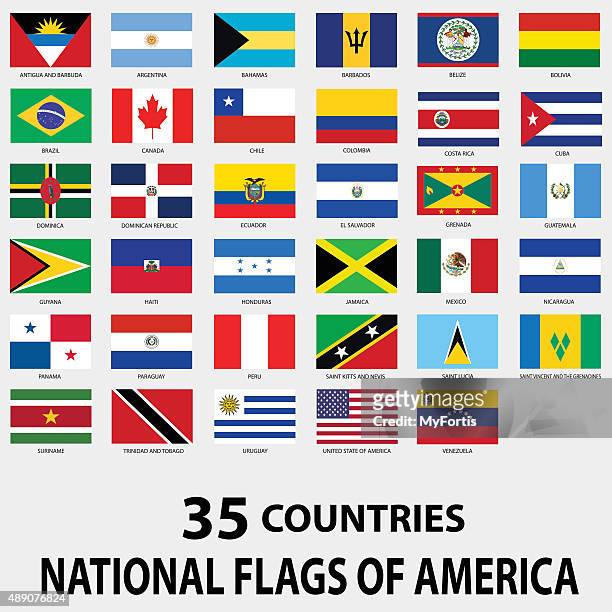 national flags of america - flag stock illustrations