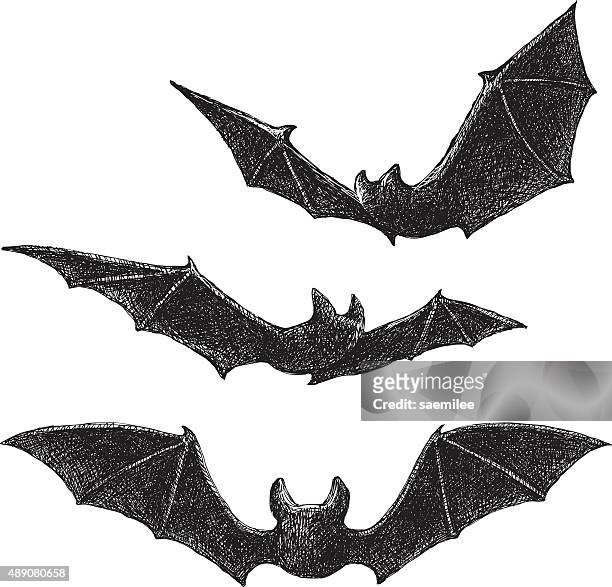 5.687 Ilustrações de Morcego - Getty Images