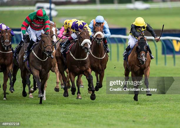 Don't Touch (2nd left Red and Green silks ridden by Tony Hamilton leads the field in the William Hill Ayr Gold Cup on September 19, 2015 in Ayr,...