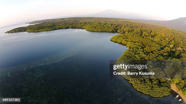 Baluran National Park East Java, Foto de stock