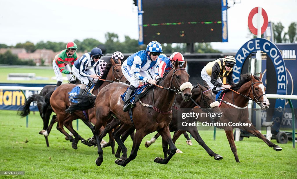 Ayr Races