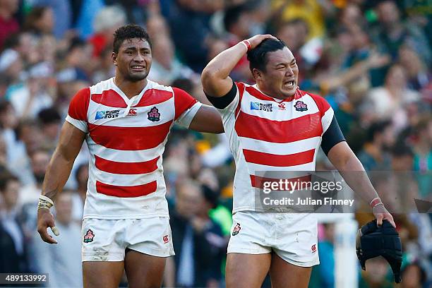 Japan players react to their suprise victory in the 2015 Rugby World Cup Pool B match between South Africa and Japan at the Brighton Community...