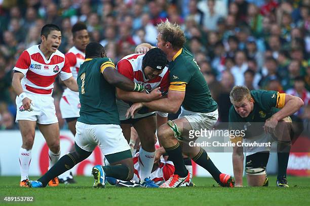 Kensuke Hatakeyama of Japan drives forward during the 2015 Rugby World Cup Pool B match between South Africa and Japan at the Brighton Community...