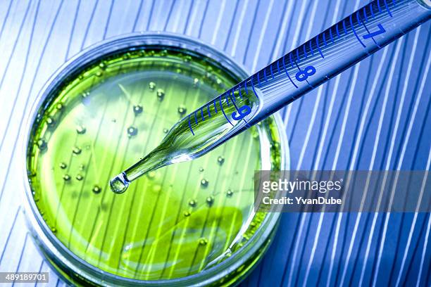 lab research microbiology - microbiology stock pictures, royalty-free photos & images