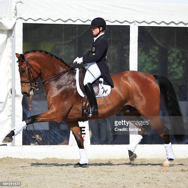 isabell werth at horses & dreams 2014 - dressage stock pictures, royalty-free photos & images
