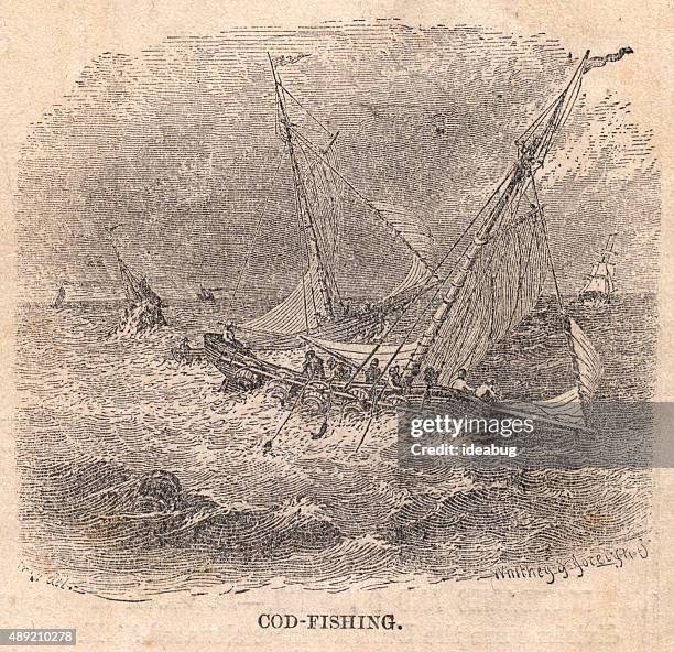 Cod Fishing Ship 187 Cod High Res Illustrations - Getty Images