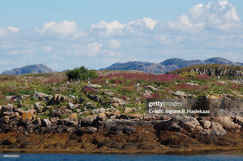 Summer island up north in Norway