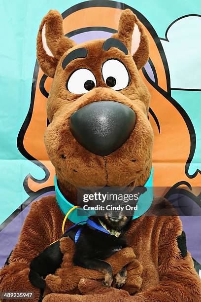 Scooby-Doo holds an adoptable dog at the North Shore Animal League America's 2014 Tour For Life mobile adoption event & Mutt-i-grees Pack Party at...