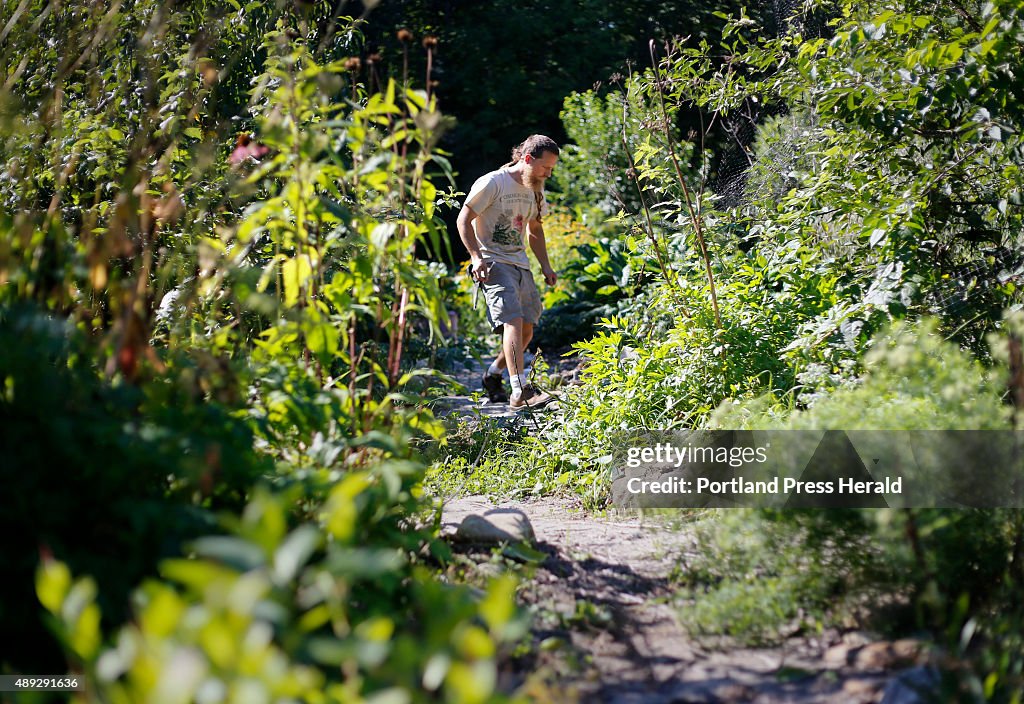 Permaculture