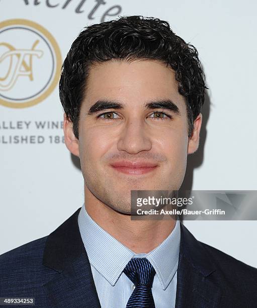 Actor Darren Criss arrives at the Jonsson Cancer Center Foundation's 19th Annual 'Taste For A Cure' at Regent Beverly Wilshire Hotel on April 25,...