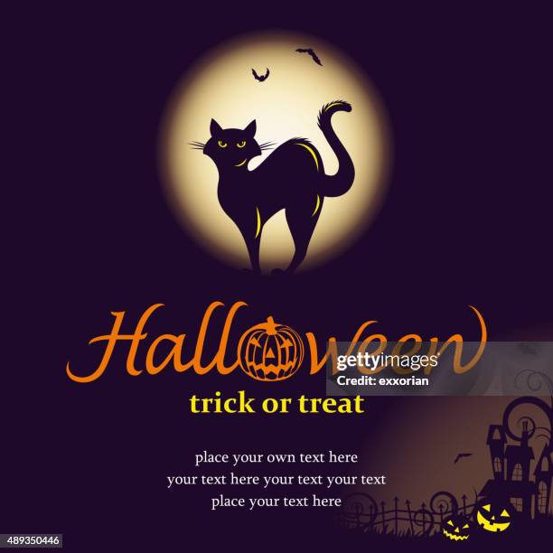 ilustraciones, imágenes clip art, dibujos animados e iconos de stock de la noche de halloween con gato negro - pumpkin cats