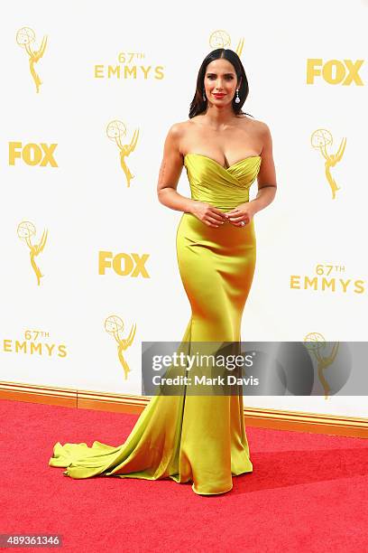 Personality Padma Lakshmi attends the 67th Annual Primetime Emmy Awards at Microsoft Theater on September 20, 2015 in Los Angeles, California.