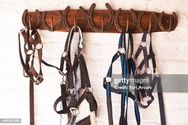 everything in its place - western dressage stock pictures, royalty-free photos & images