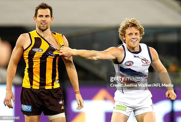 Luke Hodge of the Hawks and Rory Sloane of the Crows wrestle during the 2015 AFL Second Semi Final match between the Hawthorn Hawks and the Adelaide...