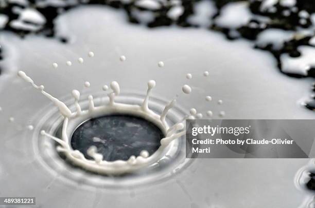 drop of milk - splash crown stock pictures, royalty-free photos & images