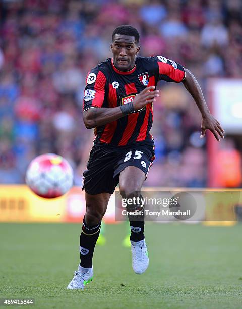 Sylvain Distin of A.F.C. Bournemouth during the Barclays Premier League match between A.F.C. Bournemouth and Sunderland at the Vitality Stadium on...