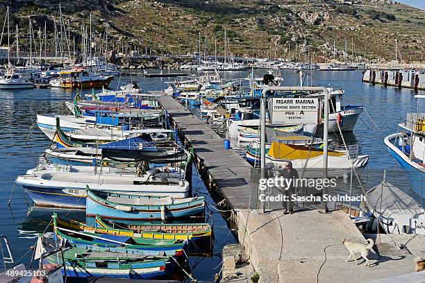 General view of fishing boats in the Mgarr harbour basin on May 09, 2014 on Gozo Island, Malta.