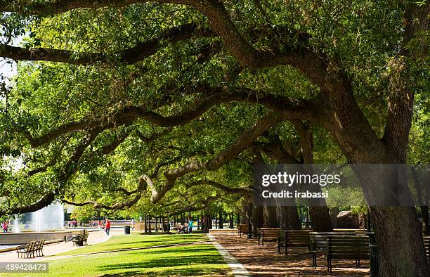 hermann park - hermann park stock pictures, royalty-free photos & images