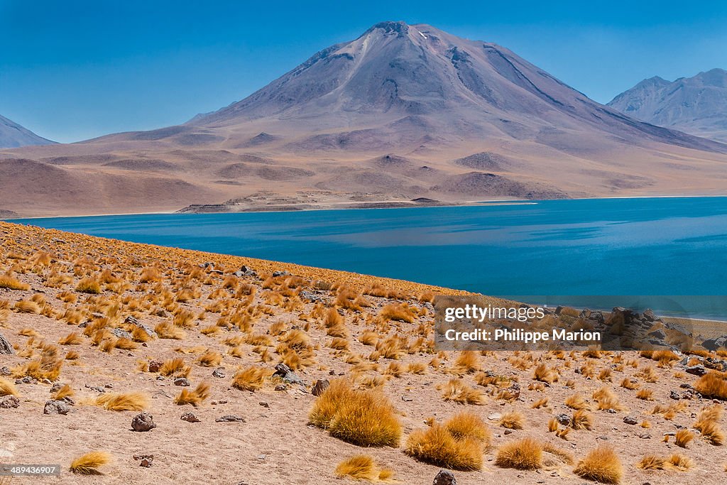 Miñiques Volcano and Laguna Miscanti, Chile