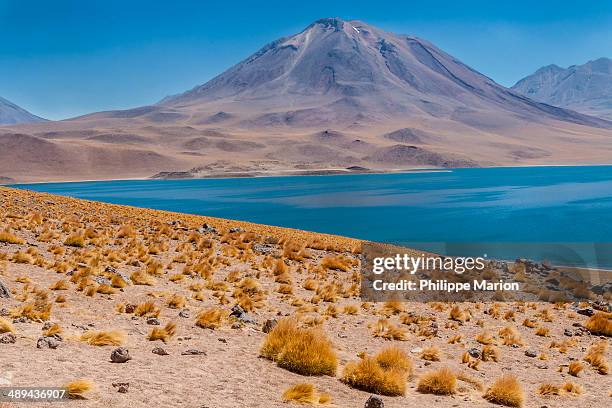 miñiques volcano and laguna miscanti, chile - marion dries stock pictures, royalty-free photos & images