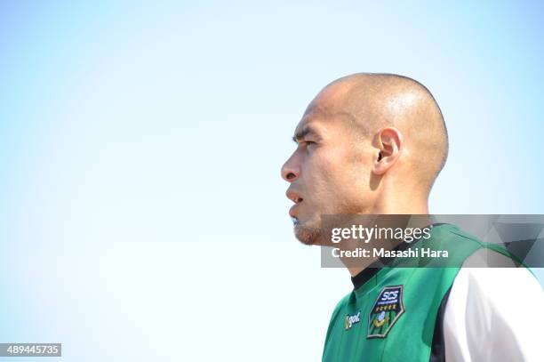 Naohiro Takahara of SC Sagamihara looks on after the J.League third division match between SC Sagamihara and AC Nagano Parceiro at Sagamihara Gion...