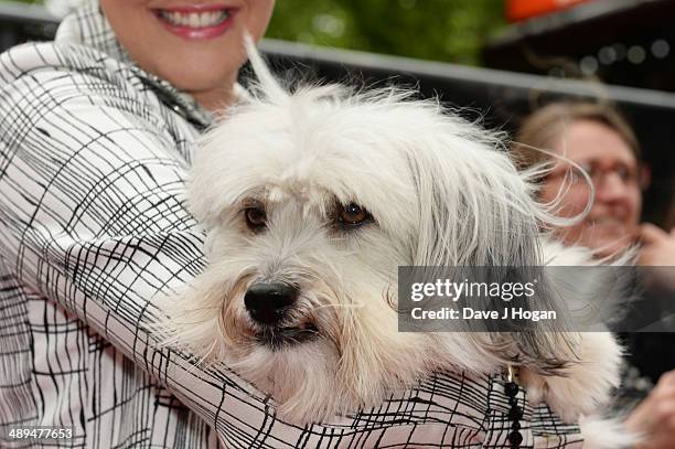 Ashliegh Butler and Pudsey the dog attend the UK premiere of 'Postman Pat' at the Odeon West End on May 11, 2014 in London, England.