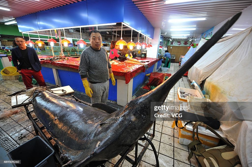 Fishermen Catch 3.8-meter-long Swordfish In Yellow Sea