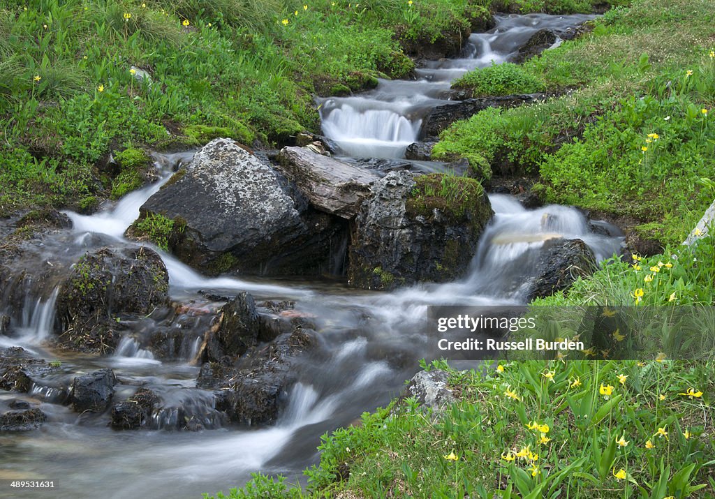 Glacier NP Lunch Creek
