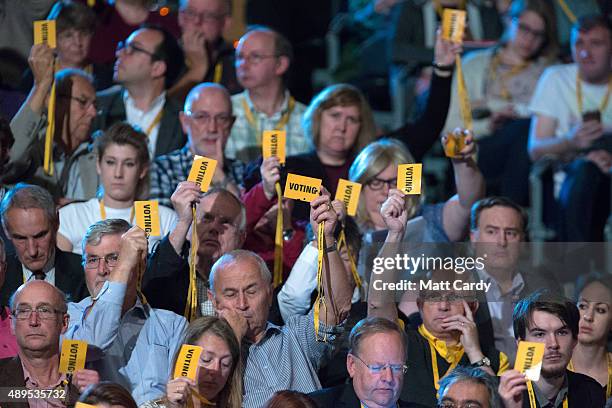 Liberal Democrats vote on the fourth day of the Liberal Democrats annual conference on September 22, 2015 in Bournemouth, England. The Liberal...