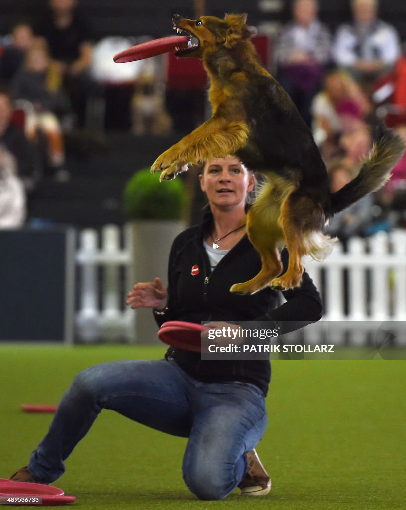 GERMANY-ANIMALS-PETS-FAIR