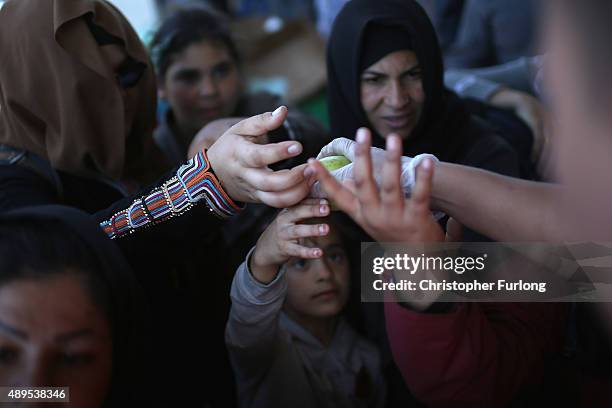 Migrants who arrived on the second train today at Hegyeshalom on the Hungarian and Austrian border, clamour for food as they walk the four kilometres...