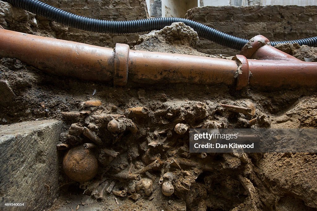 11th Century Bones Found Propping Up A Waste Pipe In Westminster Abbey