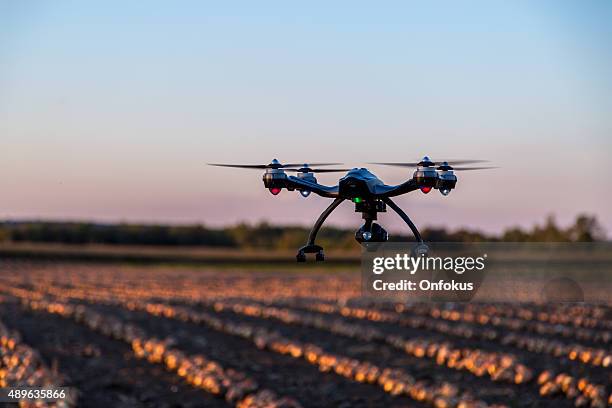 ronzio volare sopra un campo al tramonto cipolle - drone agriculture foto e immagini stock