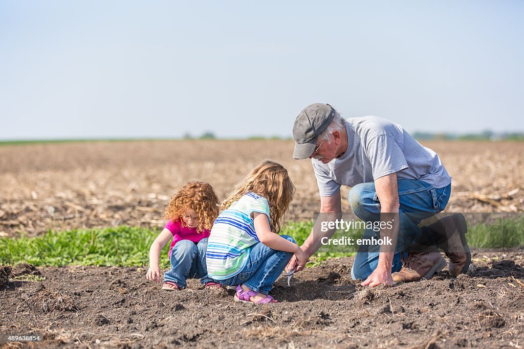 Girls & Grandpa Checking Field for Growing Soybeans