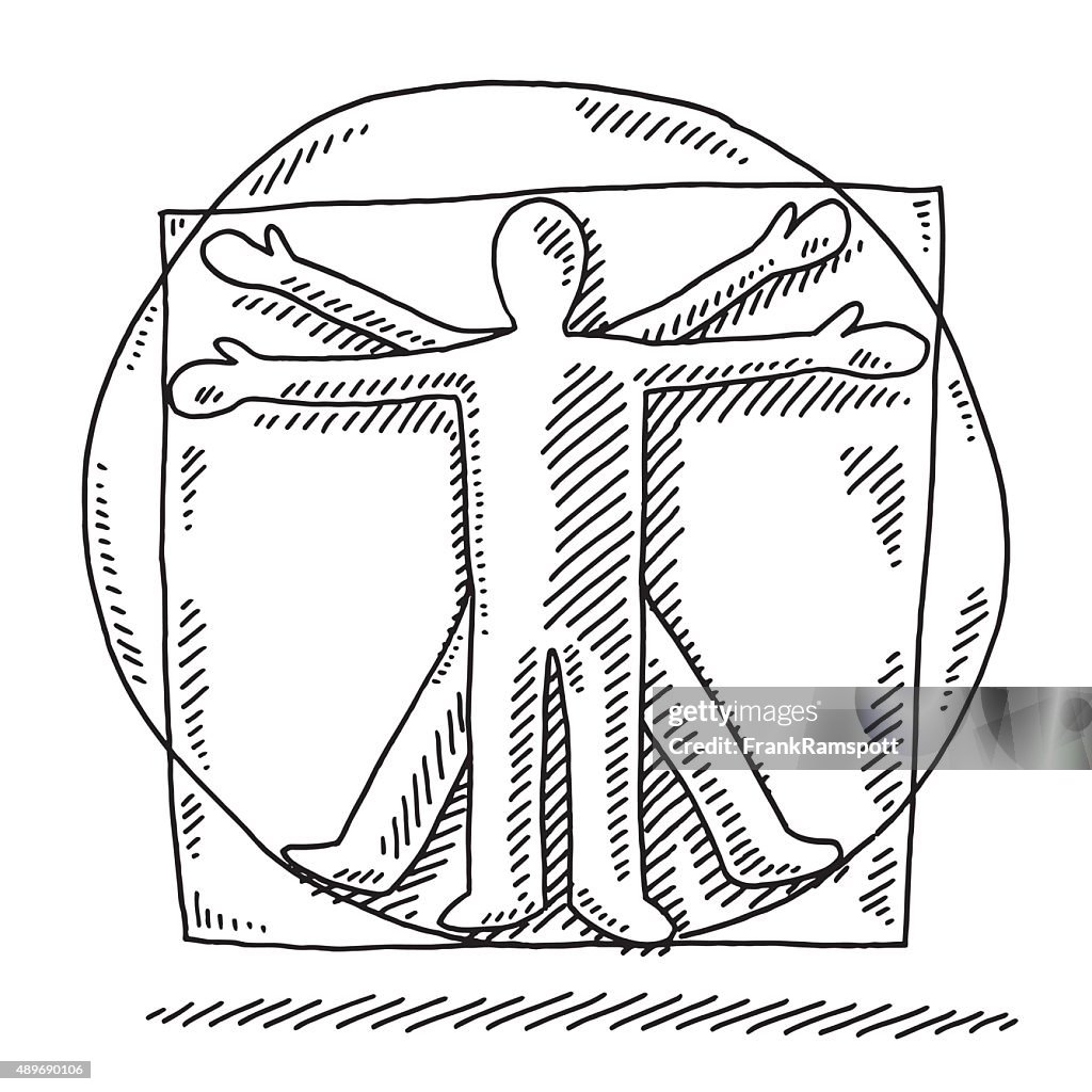 Vitruvian Man Human Proportions Drawing