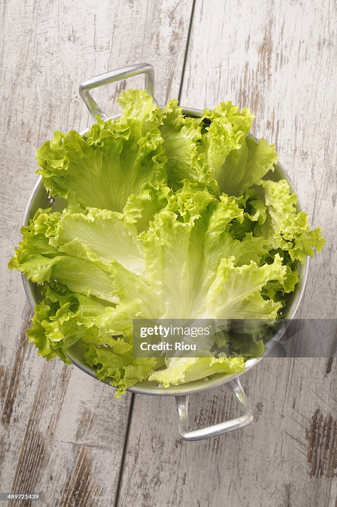 Lettuce